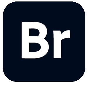 Adobe Bridge 2025 15.0.3.525 RePack by KpoJIuK